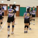선기로2-11 이미지