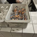 오렌지게스트하우스 이미지