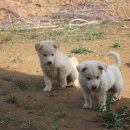 6.15 농장 이미지