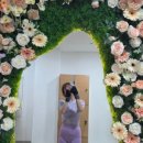 머스트윈 복싱 이미지