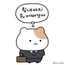 (주)서울엔지니어링 | 우리 FISA AI엔지니어링 6기 3주차 후기