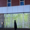 동화요리사A | 강릉 씨마크 호텔 1박2일 코스 정리(맛집,카페등)