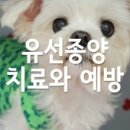 펫토이동물병원 이미지