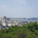 장미길코스 이미지