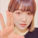 짱2 이미지