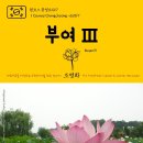임천대교비 | 원코스 충청도017 부여Ⅲ 대한민국을 여행하는 히치하이커를 위한 안내서