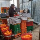 현이네농장 이미지