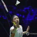 또또슈퍼 이미지