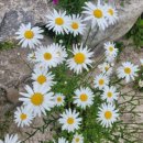 휴앤인민박 이미지