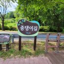 종댕이길 화장실 네이버블로그