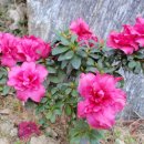 반성주유소 이미지