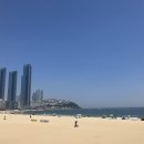 백사장 | "여름철 로망의 완성! 황금빛 모래사장과 푸른 바다가 펼쳐진 해운대 백사장 리얼 방문 후기"