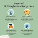 Schizophrenia : 조현긴완(調絃緊緩)병 이미지