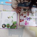 *내돈내산*[키즈스콜레 마이퍼스트월드 후기] 7살, 3살 자매와 함께하는 책육아 전집 추천