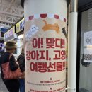 제주멍냥밥상 | [제주도서귀포올레시장애견간식] 멍냥밥상