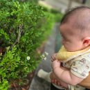 "처음엔 울었어요", 100일 아기 0세반 어린이집 한달 후기
