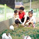 작은 동물원 이미지