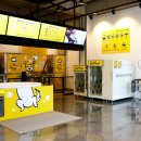 겟풀(GETPOOL) | 탐앤탐스, 반려동물 복합문화공간 겟풀(getpool) 체험단 모집