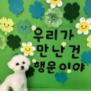 허니바우 이미지