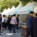 누리나무 충남일보