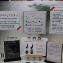 아잉유속눈썹