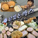 파파돈스 | 경남 양산 평산동 양산 3대 돈까스 맛집 &#39;달빛돈까스&#39; 방문 후기!