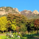 영봉농장 이미지