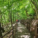 정다운109회차 남원 지리산뱀사골계곡 트레킹(8/18) 이미지