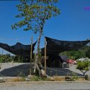 파주눌노리체험캠핑장 이미지