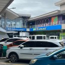 뉴메트로약국 | 세부여행 Day 3 💛 샹그릴라 아쿠아 조식, 세부 뉴타운 LG가든 제이코도넛, 망고트리 기념품, 세부...