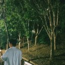 왕&짱노래연습장 이미지