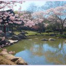 또바기약국 이미지