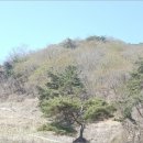 수곡면1 이미지