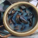 명품고기