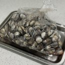 역전꼬막 이미지