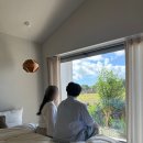 프로퍼밀도 이미지