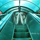 등대김밥 이미지