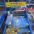 14호 해녀네