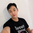 진영 티브이데일리