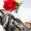 완도전복사료 이미지