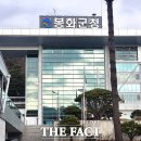 봉성유통 더팩트