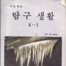 추억이닭