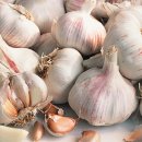 역곡주유소 이미지