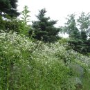 효자원농장 이미지