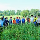 김영만농장 이미지