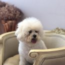 메르시동물병원 이미지