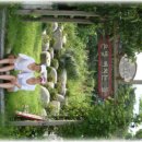 은빛 비치는 돌 이미지