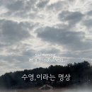 FLUTTER(플루터) | 초급 수영 개인 레슨 중구 수영장 접영 이세준 강사 (2025 week 09)
