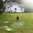 산마루 펜션 이미지