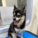 Mong's(몽'스) 이미지